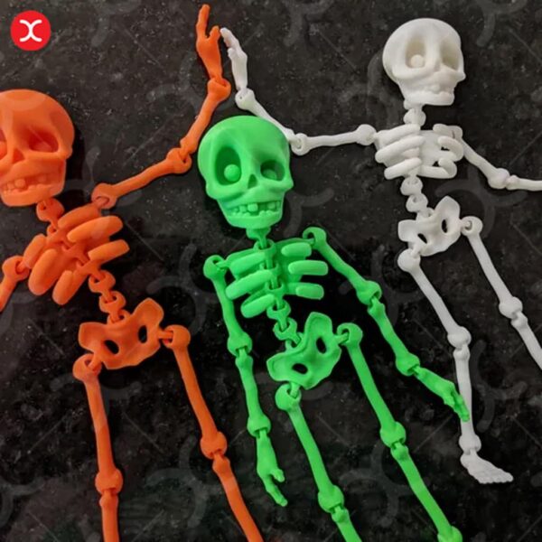 مدل سه بعدی Flexi Skeleton