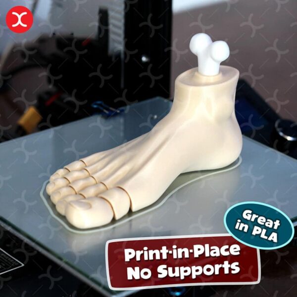 مدل سه بعدی Flexi Foot